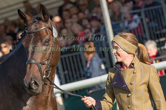NICKY HILL (GBR) AND MGH BINGO BOY
