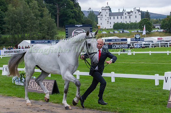 Giel Vanhouche of Belgium with Figaro De Verby