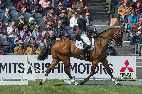 Paul Sims (GBR) riding Glengarnock in the Dressage phase  of  the 2017 Mitsubishi Motors  Badminton Horse Trials