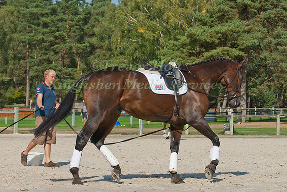 Stuart Ward Lunging Some Day Soon