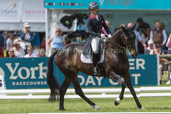 ROSALIND CANTER AND PENCOS CROWN JEWEL