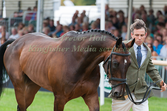 Sam Griffiths (AUS) and Happy Times at the 1st horse inspection