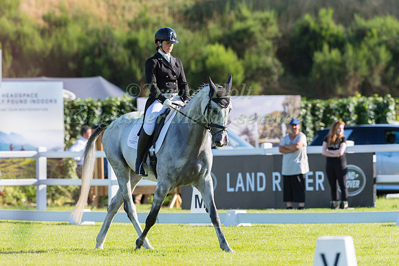AIMEE PENNY  AND PSH LOVE AFFAIR