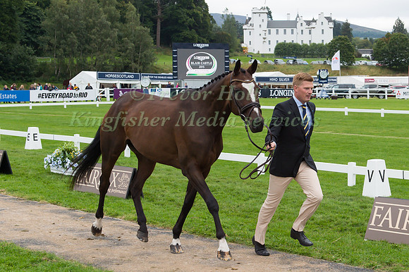 Niklas Lindback of Sweden with Cendrillon