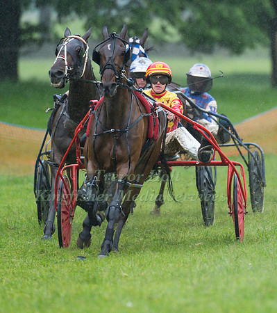 Helifield Harness Racing