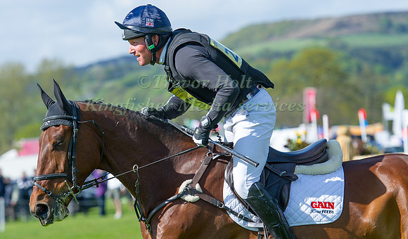 Oliver Townend riding  PURSUIT