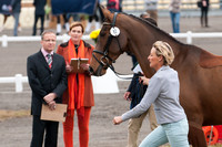 Mary King and Imperial Cavalier