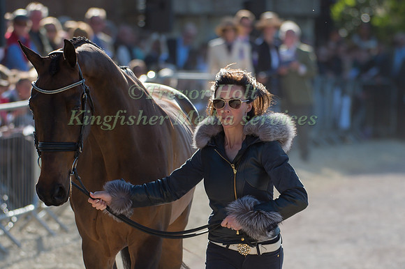 Dee Hankey of Great Britain  and Chequers Playboy