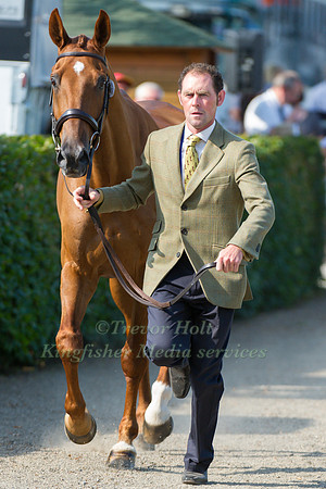 Joseph Murphy and Electric Cruise