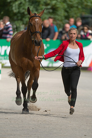 GEORGIE STRANG (GBR) AND COOLEY EARL AT THE EQUI-TREK CCI *** FINAL HORSE INSPECTION OF THE 2017 BRAMHAM INTERNATIONAL HORSE TRIALS