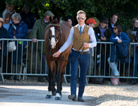 ALEXANDER WHEWALL AND  CHAKIRIS STAR