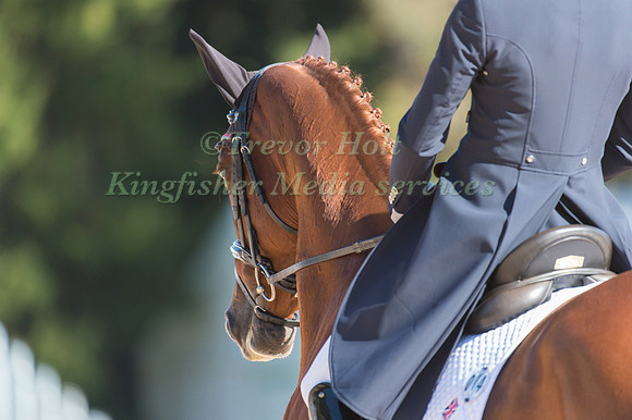 Sara Bullimore of Great Britain riding Lilly Corinne