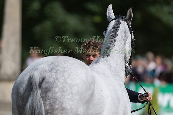 LUDWIG  SVENNERSTAL (SWE) AND PARAMOUNT IMPORTANCE AT THE EQUI-TREK CCI *** FINAL HORSE INSPECTION OF THE 2017 BRAMHAM INTERNATIONAL HORSE TRIALS
