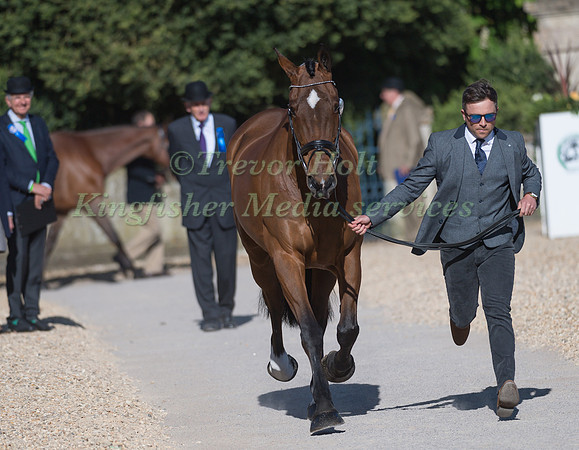 BEN HOBDAY  (GBR) AND  MULRY'S ERROR