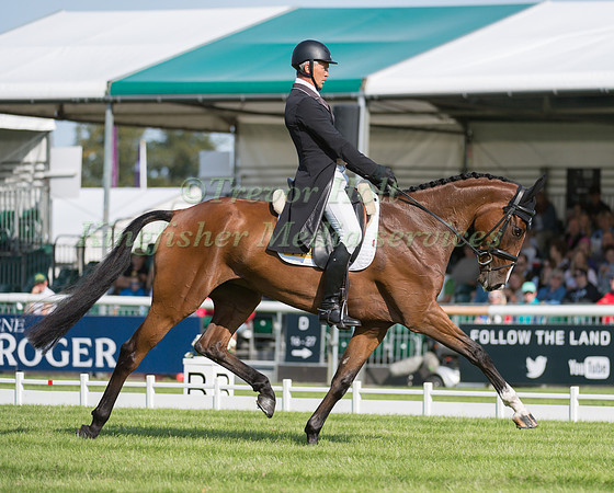 ANDREW NICHOLSON (NZL) AND JET SET IV
