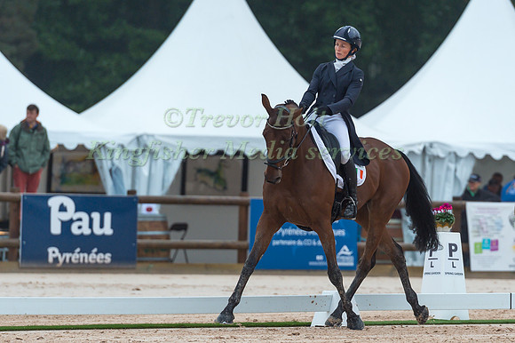 Sarah Ennis (IRL) riding Horseware Stellor Rebound