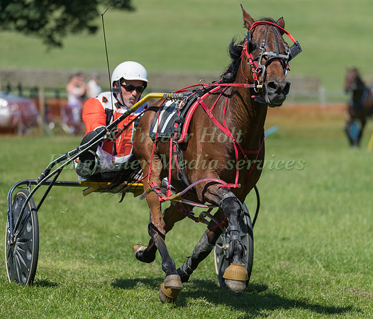 Harness racing at Helifield , Yorkshire