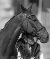 CAROLINE  POWELL (NZL) AND ON THE BRASH AT THE EQUI-TREK CCI *** FINAL HORSE INSPECTION OF THE 2017 BRAMHAM INTERNATIONAL HORSE TRIALS
