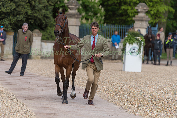 William Fox-Pitt (GBR) and  Little Fire