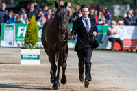FRANCIS WHITTINGTON (GBR) AND EVENTO