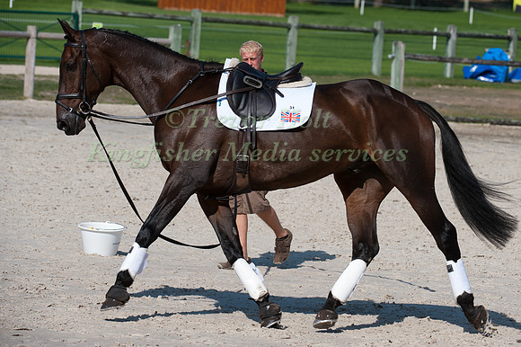 Stuart Ward Lunging Some Day Soon