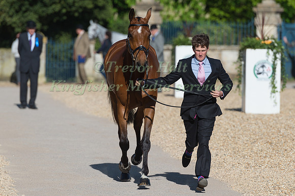 TOM MCEWEN (GBR) AND  TOLEDO DE KERSER