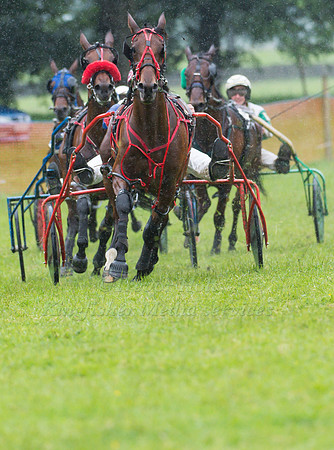 Helifield Harness Racing