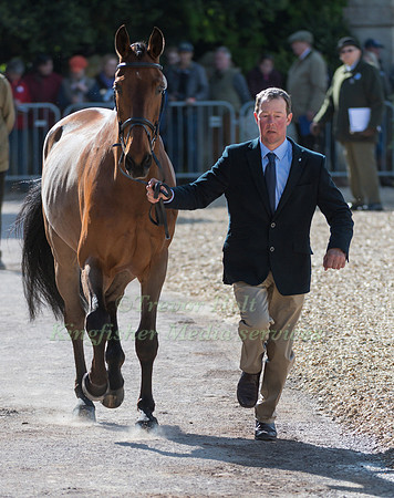 DAG ALBERT (SWE) AND  MITRAS EMINEM