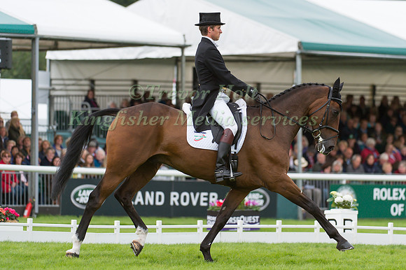 Tom D Crisp (GBR) and  Coolys Luxury