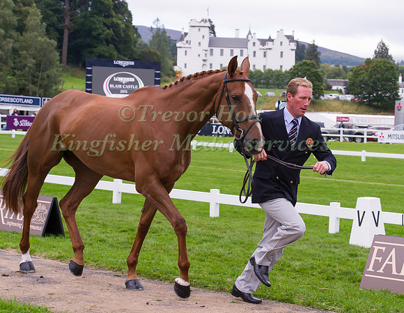Oliver Townend of Great Britain with Fenyas Elegance