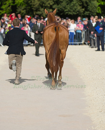 Oliver Townend and Armada