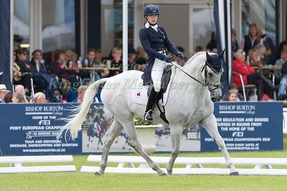 FRANKY REID-WARRILOW (GBR) AND WITH LOVE TAKING PART IN THE DRESSAGE PHASE OF THE  CCI THREE STAR COMPETITION AT THE 2017 EQUI-TREK BRAMHAM INTERNATIONAL HORSE TRIALS