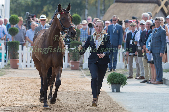 Anna-Katharina Vogel (GER) and DSP Quintana P