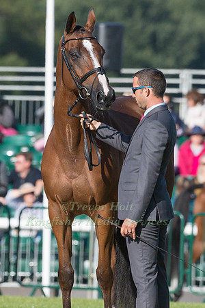 SEBASTIEN CAVAILLON (FRA) AND SARAH D'ARGOUGES