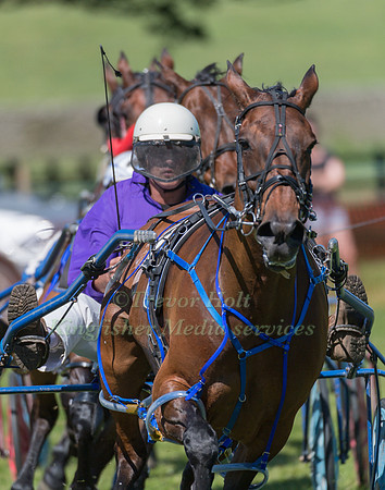 Harness racing at Helifield , Yorkshire