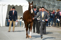 Jonathan Paget of New Zealand and Clifton Signature