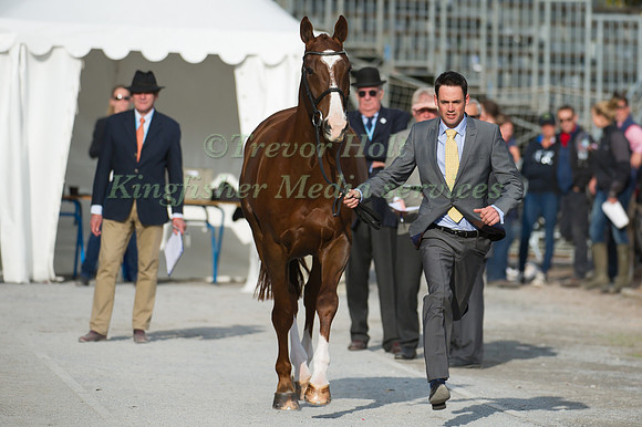 Jonathan Paget of New Zealand and Clifton Signature