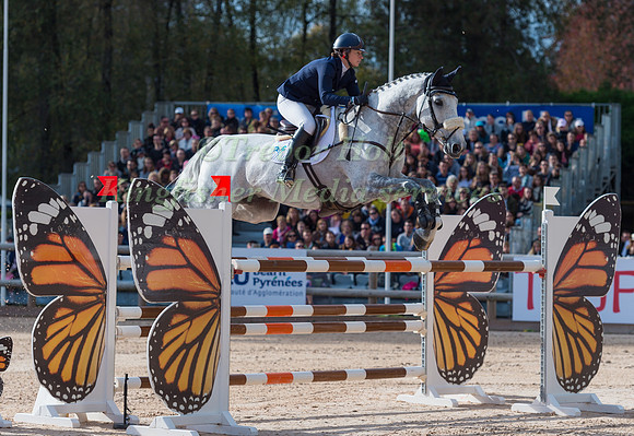 Nicky RONCORONI (GBR) AND STONEDGE) AND STONEDGE