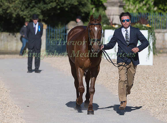 DAN JOCELYN (NZL) AND  DASSETT COOL TOUCH
