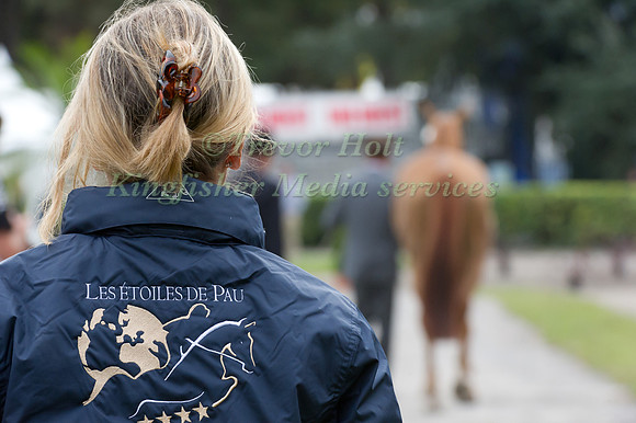 Trot Up