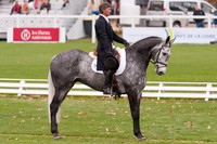 Andrew Nicholson and Tristar II