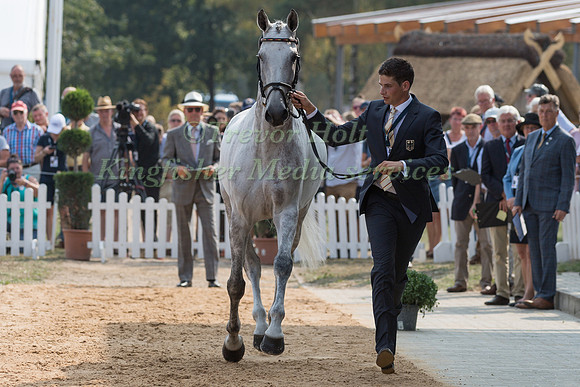 Christoph Wahler (GER) and Carjatan S