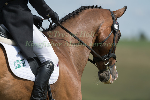 PAUL SIMS (GBR) AND GLENGARNOCK
