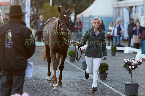 Izzy TAYLOR  (GBR) AND FROG ROCK