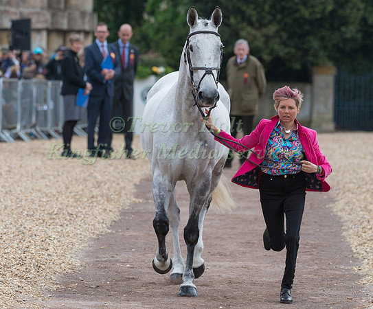 Louise Harwood (GBR) and  Balladeer Miller Man