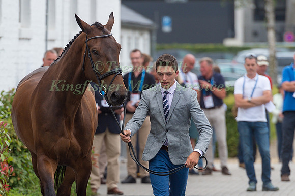 CATHAL DANIELS (IRL) AND ECLIPTO