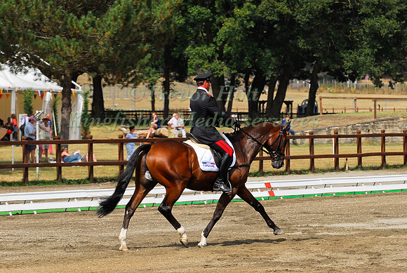 Stefano Brecciaroli and Striking Heights