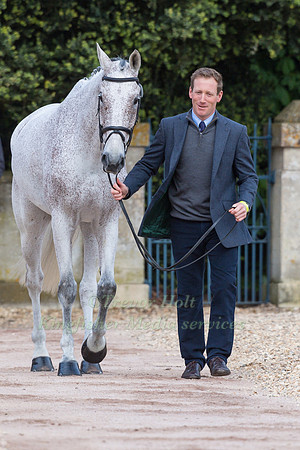 Oliver Townend (GBR) and  Ballaghmor Class