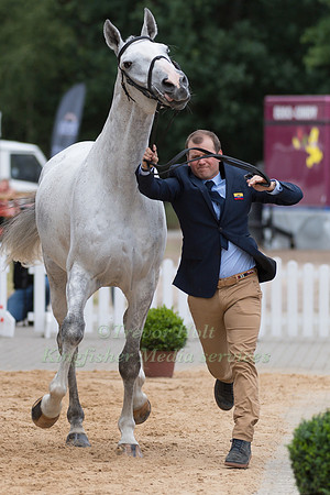 NICOLAS WETTSTEIN (ECU) AND MEYER'S HAPPY