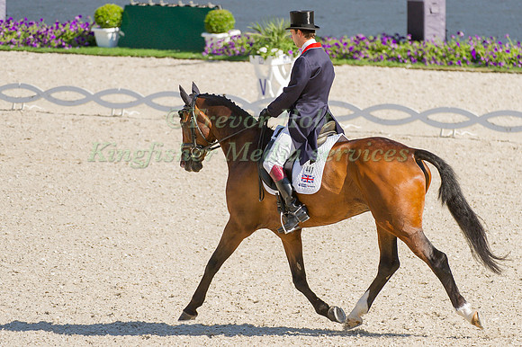 Harry Meade riding Wild Lone taking part in the dressage test